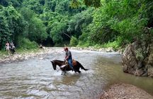 Combo Horse Riding and ATV Experience 