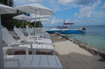 Dune Buggy Adventure in Cozumel with Snorkel and Mexican Lunch