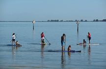 Paddle Board Rental around Harbour Island