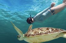 EXPERIENCE SWIMMING with the TURTLES and Discover the amazing Tulum Ruins tours.