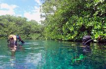 Freediving Intro for Beginners in a Cenote in Tulum Mexico