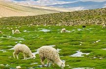 Colca Canyon Tour 2d Short hiking + Overnight in small village Ending in Puno