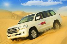 Sunset Camel Trek & Red Dunes Safari with BBQ at Al Khayma Camp From Dubai