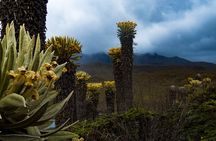 Private Tour to the Otún Lagoon