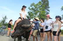 Half-day Farming life with wet rice from Hoi An