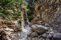 From Chania: Imbros Gorge and Sfakia Experience Hike & Swim