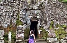 Best of Bali Tour - All Inclusive