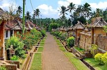 Best of Bali Private Shore Excursions