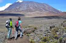 Mt. Kilimanjaro Day Trip Trek on Marangu Route
