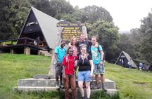 Mt. Kilimanjaro Day Trip Trek on Marangu Route