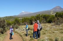 Mt. Kilimanjaro Day Trip Trek on Marangu Route