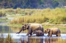 5 Days Bardia National Park Tour with Palpa Overnight Stay