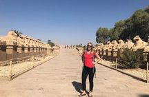 Private Half-Day Tour to Karnak and Luxor Temple with a Guide