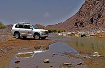 Private 4x4 Desert Drive, Wadi Shawaka Pool Visit with Lunch box