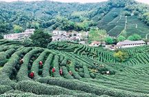 Private Amazing Hangzhou Airport Layover Tour with Lunch or Dinner Option 
