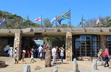 Full Day visit to Cape Point Cape of Good Hope for Special needs from Cape Town 