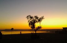 Fayoum Oasis Tour to Karanis, Qarun Lake, Wadi El Rian Waterfalls