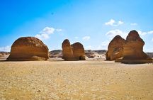Fayoum Oasis Tour to Karanis, Qarun Lake, Wadi El Rian Waterfalls