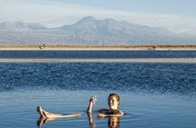 Cejar Lagoon and Ojos del Salar with Tebinquiche Tour