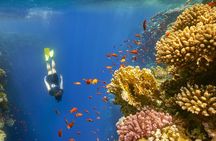 Sharm El-Sheikh: Colored Canyon and Blue Hole Day Trip