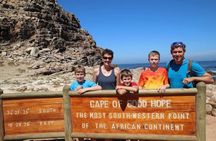 Cape Peninsula Half Day Tour From Cape Town Travel Choice Award