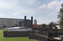 Teotihuacan y Basilica de Guadalupe Private Tour 