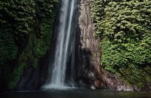 Best of Bali Waterfalls. Part 2 (Sekumpul, Munduk, and Banyumala Twins)
