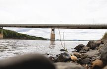 Arctic Circle Day Tour