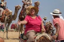 Half Day Tour To Giza Pyramids & The Great Sphinx With Camel Ride