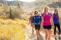 Sonoran Desert Hiking Tour