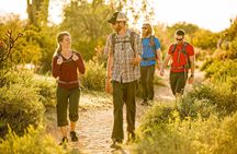 Sonoran Desert Hiking Tour