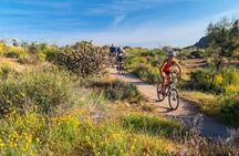 Half-Day Scottsdale Mountain Bike Tour