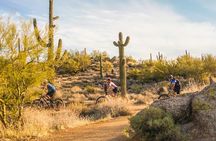 Half-Day Scottsdale Mountain Bike Tour