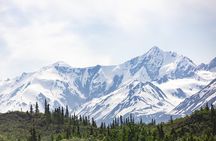 The Beauty of the North Tour