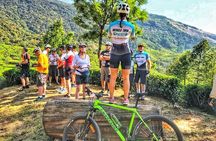 Tea Fields by Bicycle from Kandy