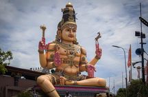 Trincomalee City Tour from Habarana