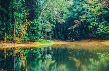 Hiking in Kandy Udawattakele Forest Reserve