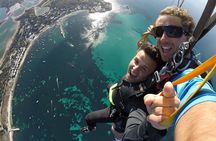 Rottnest Skydive + Hillarys Ferry package