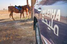 Private 4x4 Mleiha Desert Safari Horse Riding with Museum Visit