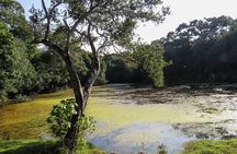 Wilpattu National Park Safari from Dambulla