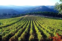 Private Wine Tasting Day Tour from Beirut
