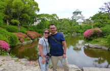 Osaka Castle and Sumiyoshi Taisha Shrine Private Half-Day Tour