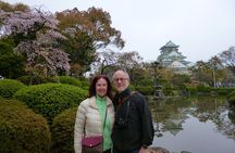 Osaka Castle and Sumiyoshi Taisha Shrine Private Half-Day Tour