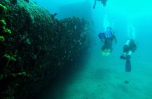 Aruba 2-Tank Dive Excursion for Certified Divers
