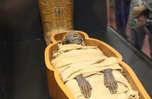 National Museum of Egyptian Civilization Private Guided Tour
