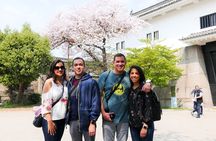 Osaka Castle and Sumiyoshi Taisha Shrine Private Half-Day Tour