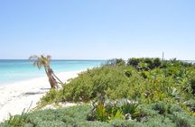 Private Full-Day Guided Tulum Coba and Cenote Tour with Lunch 
