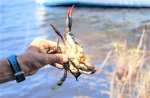 Hilton Head Crabbing Expedition Boat Cruise