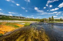 Yellowstone Full Day Private Tour