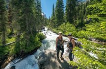 Yellowstone Full Day Private Tour